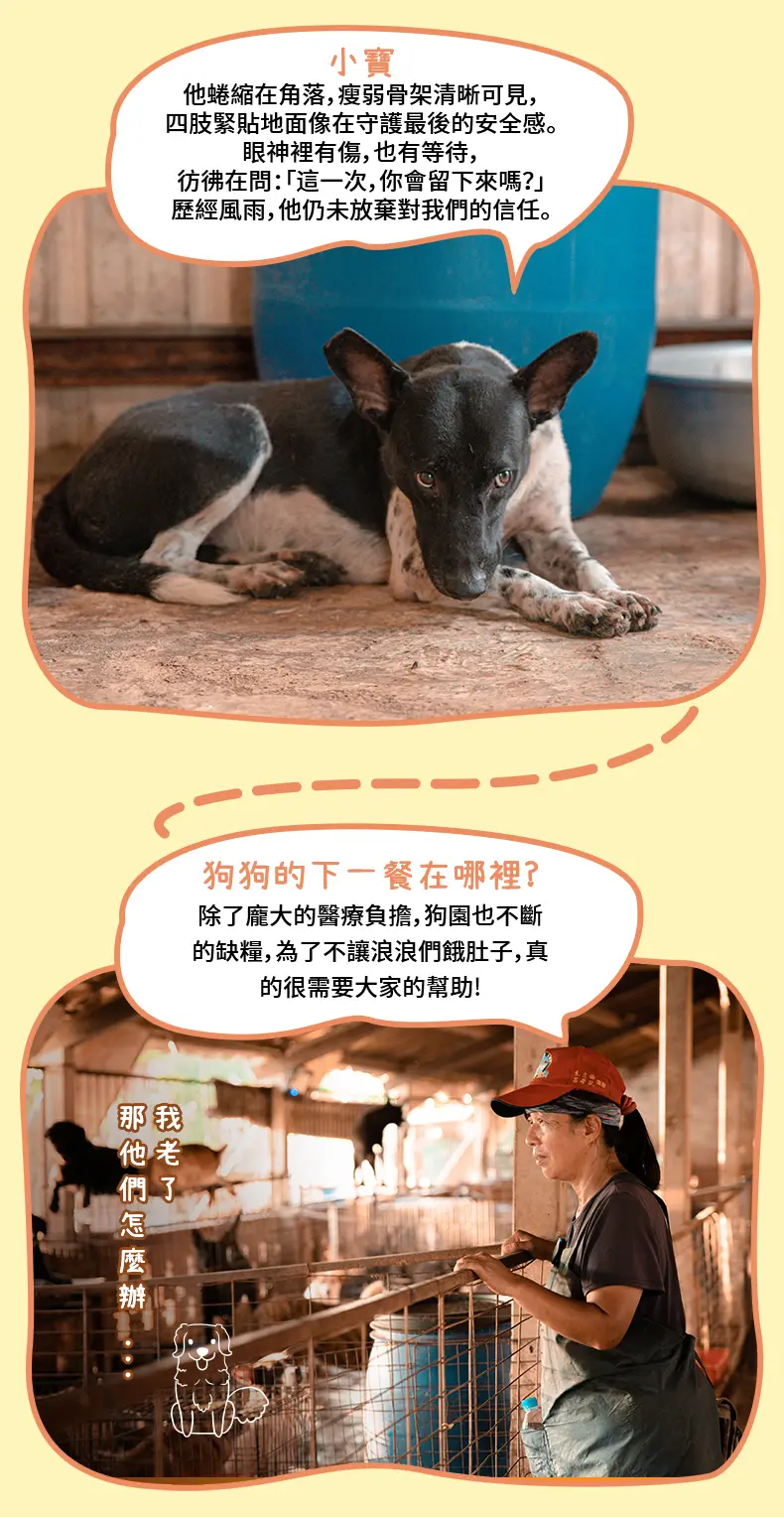 详情页_03